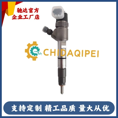 Oil pump, nozzle Light Truck Rui Power