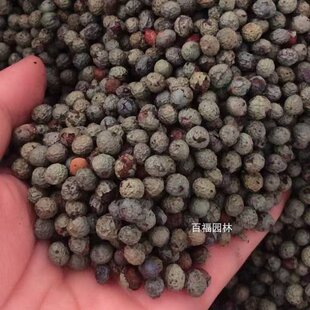 �S�Bľ�N�ӷN��һ����Ʒ�²ɷN�ӾG��ֲ����ľ�N��