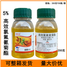 ŹϹ5%Чȷ{xСϻrșx200