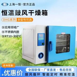 Shanghai One Heng Dhg Series Series Drum Laboratory Laboratory Industry Electric Electric Hever Heng Wen Drum Wind Dry Box
