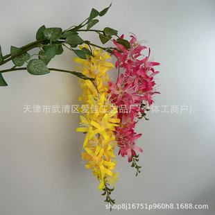 �羳��ͩ���滨 ��c�bٻ�������پW�t����ូٻ��S�����l