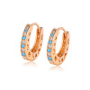 Jewelry, earrings, zirconium, suitable for import, European style