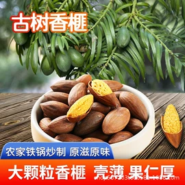 松子;香榧;开心果