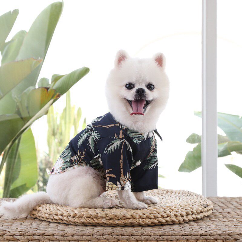봄여름 얇은 강아지 고양이 셔츠 파인애플 야자수 비치 반려동물 옷 XS~5XL