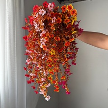 �羳���N��ɫ���_�m���ٱڒ���滨���⻨�@���S���lܛ�b��c����