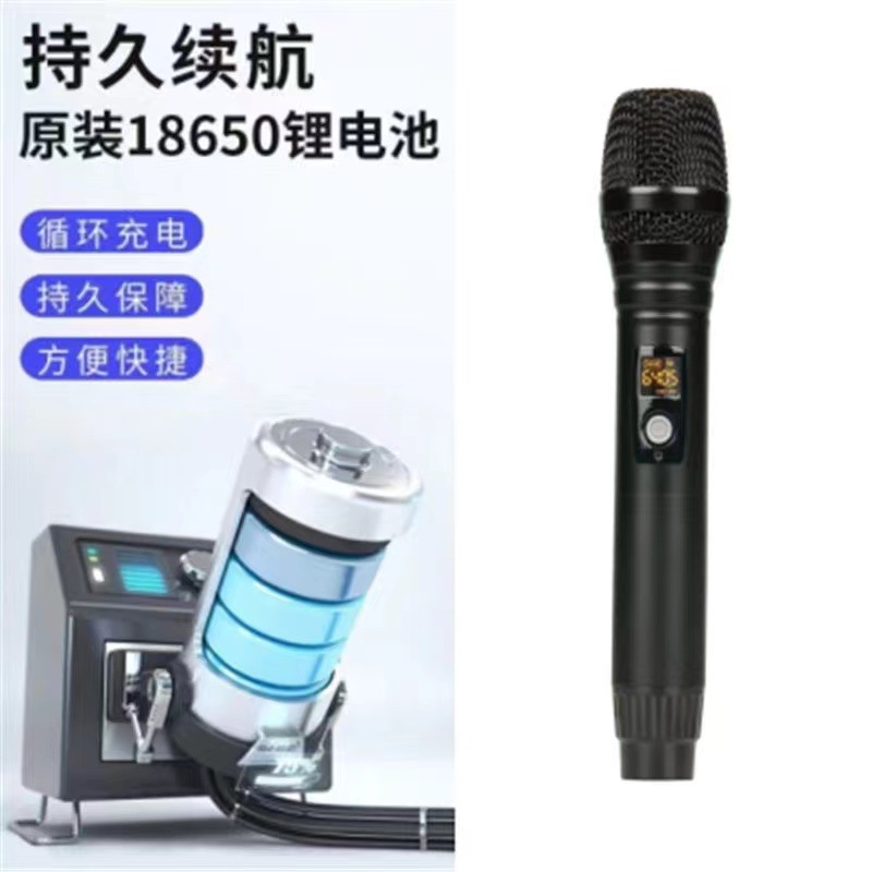 무선 마이크 충전식 배터리 듀얼 사용 1 대 2 U 섹션 안티 하울링 전문 성능 홈 KTV 노래 야외