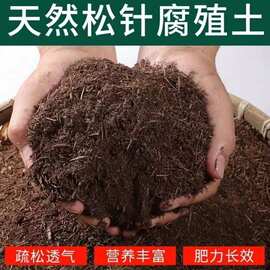 松针腐殖土营养土养花通用型盆栽家用种花有机土壤腐叶种殖土多肉