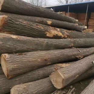 **AAA�����ľֱƴ�� �ߜغ�� ������׃�� ľ���Ҿ߻���**