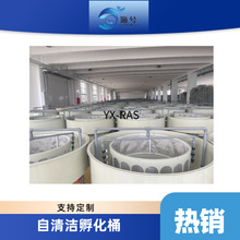 鱼苗自动孵化器水产养殖鱼卵孵化鱼苗分离器鱼虾蟹循环水孵化桶