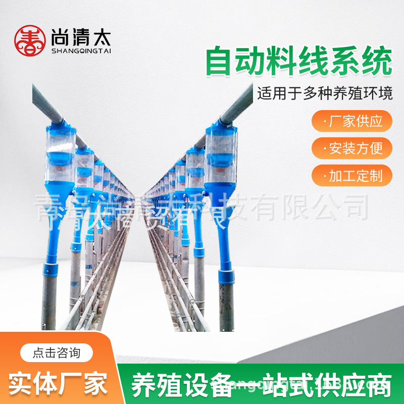 供应养猪设备猪用自动料线系统 全套自动喂料设备 猪用饲料机