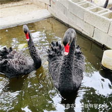 �����Z���w���� Ó�غ����Z�� ��������Z�^�p�����Z���^�����Z��