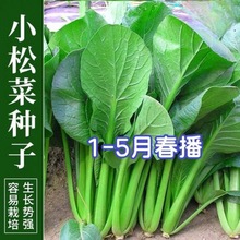 Сݿ˷NӴȫ๣˷NɲСײ˷NԭbNӴȫll