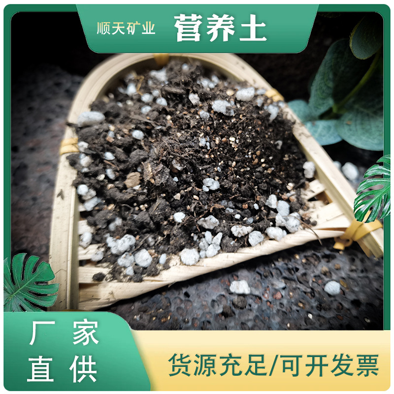 园艺无土栽培培养土多肉培养土兰花种植土君子兰育苗土腐殖土矿物