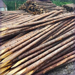 ��ľ����ľɼľ����ӵ��o��ԭľ�G��֧�ΗU��Ѵľ���Aľ���