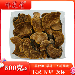 �|�������L��ɽ ���R�����ɣ�S �`֥ ɣ������ 500��ÿ�� �ǷNֲ