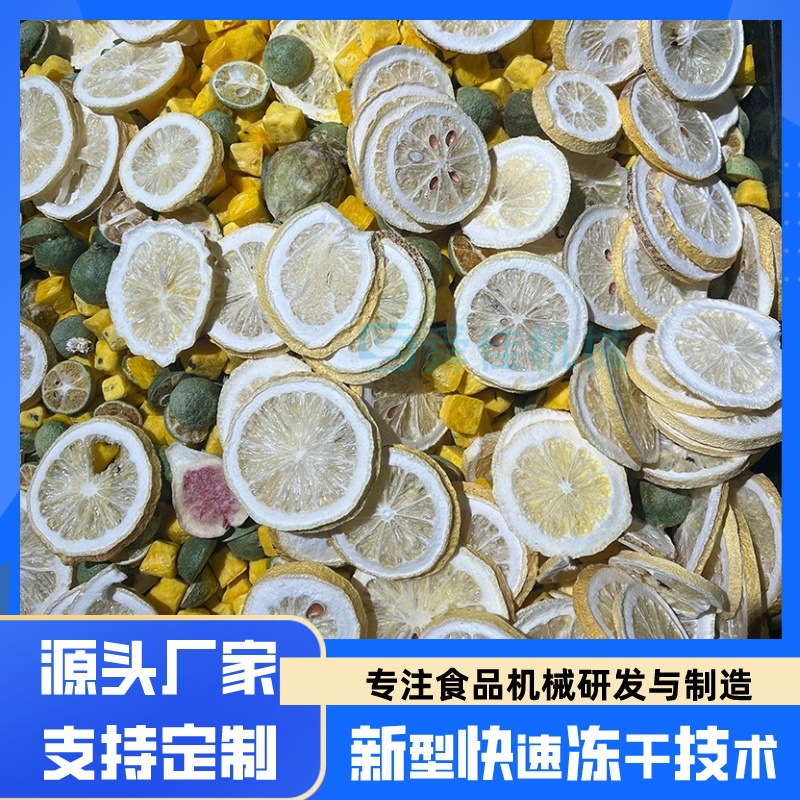 花茶柠檬低温脱水冻干机 腐竹奶皮真空冷冻干燥机 食品真空冻干机