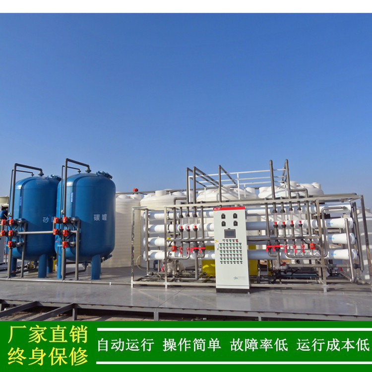 全自动双级反渗透水处理设备_15t双级反纯水厂家绿健供应工业级