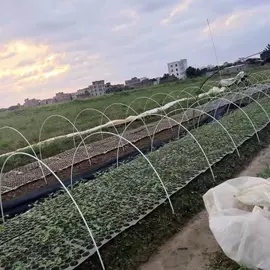 玻璃纤维;碳纤维棒;其他碳纤维材料