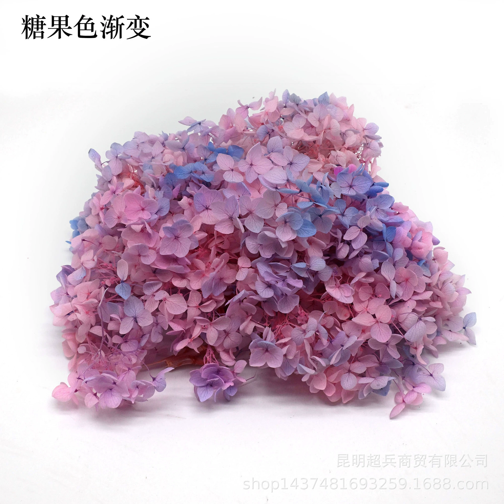 [Вечная Life Flower Hydrangea] Анна Градиентный цвет Лист Hydramid Книга цветов оптом DIY цветочная коробка материал для просмотра
