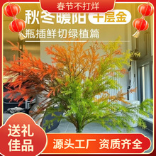 ǧ���S���������ֱ�l�����r���҃�ˮ���k���ҿ͏d�廨�ɻ�