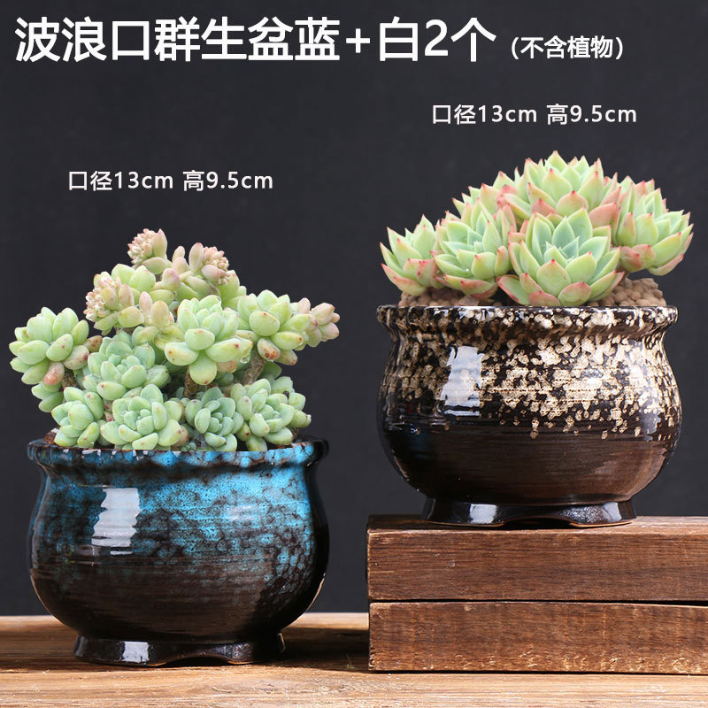 Macetas suculentas oferta especial maceta de cerámica creativa para plantas de carne liquidación venta al por mayor maceta de cerámica directa de fábrica