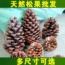 ��Ȼ�ɹ��׃��@���I�[���������ɹ�������ͯ�����b��H������E18