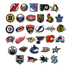 Nhlアメリカプロアイスホッケー大連盟チームロゴ刺繍パッチ布貼りバックゴム運動刺繍パッチ貼り
