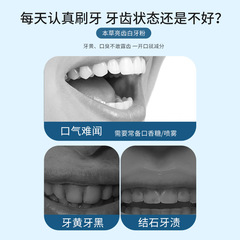 Hong Kong Pharmacy Tooth Powder Household Cleaning Herbal Solid Toothpaste Brush Teeth Cleaning Powder Beautiful Teeth Cleaning Powder