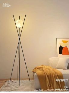 Nordic Entry Luxury Creative Art Italian Style Simple Bedside Fashionable Moon Floor Lamp Study ins Floor Lamp