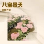 辽宁品种齐全大花萱草