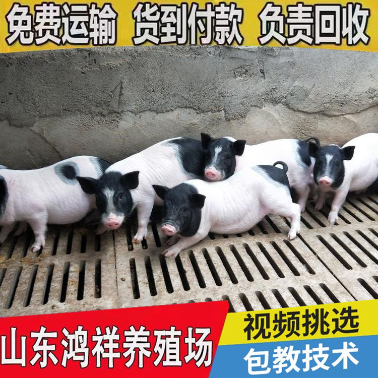 conew_u=2759290487,2574627667&