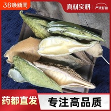 Ұɽ��ˏ��ˏ����ˏ���콬����Ģ������Ħ����ˮ�Ĺ�Ч�����ú���