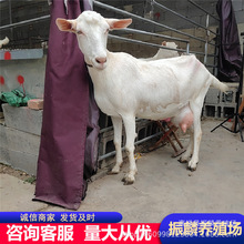 ɽ�|�Bֳ�������P����ɽ�� �S����ɽ������ ��ɽ���Bֳ��