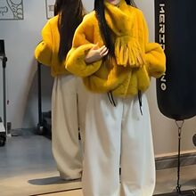 2026���n������q�r�Ќ������׷��L��Ů�b��������a����