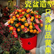 �����ļ������Խ�������辰���������҃Ȼ��ܿ�ʳ���̨�͏dֲ��