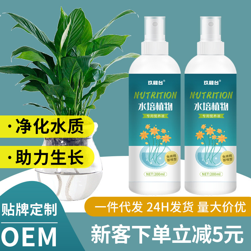 Plante hydroponique solution nutritive spéciale sans dilution fleur en pot radis vert riche semis de bambou enracinement liquide fleur engrais