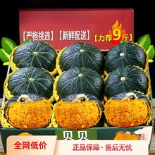 贝贝南瓜陕西新鲜5斤板栗味小南瓜栗面老瓜婴儿孕妇粉糯宝宝3