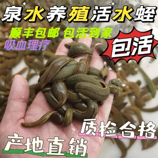 Ұ����Ѫ����Λ� ���w  ���� ˮ�ί��� ��߅Λ�ȷ�ţ�κ�؛