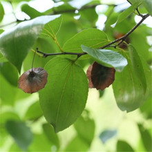 ɢb~XN ~XN B XN uXNֲN