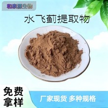 水飞蓟提取物10:1 现货包邮 水飞蓟素保健品水溶水飞蓟提取物