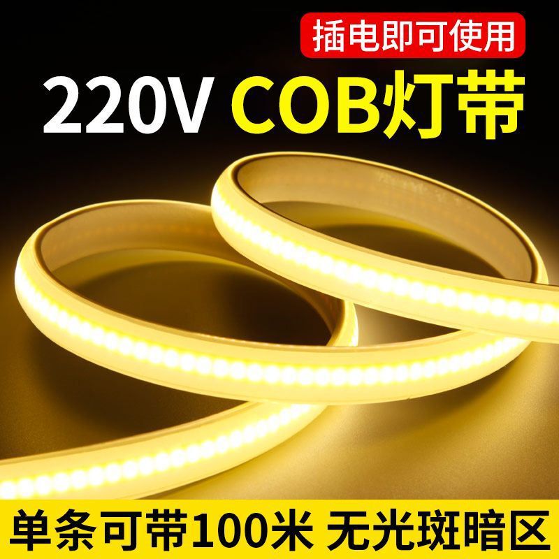 220V Driver-Free Cob Light Strip Home Decoration Ceiling Decoration Atmosphere Line Light Engineering Outdoor Landscape Waterproof Light Strip