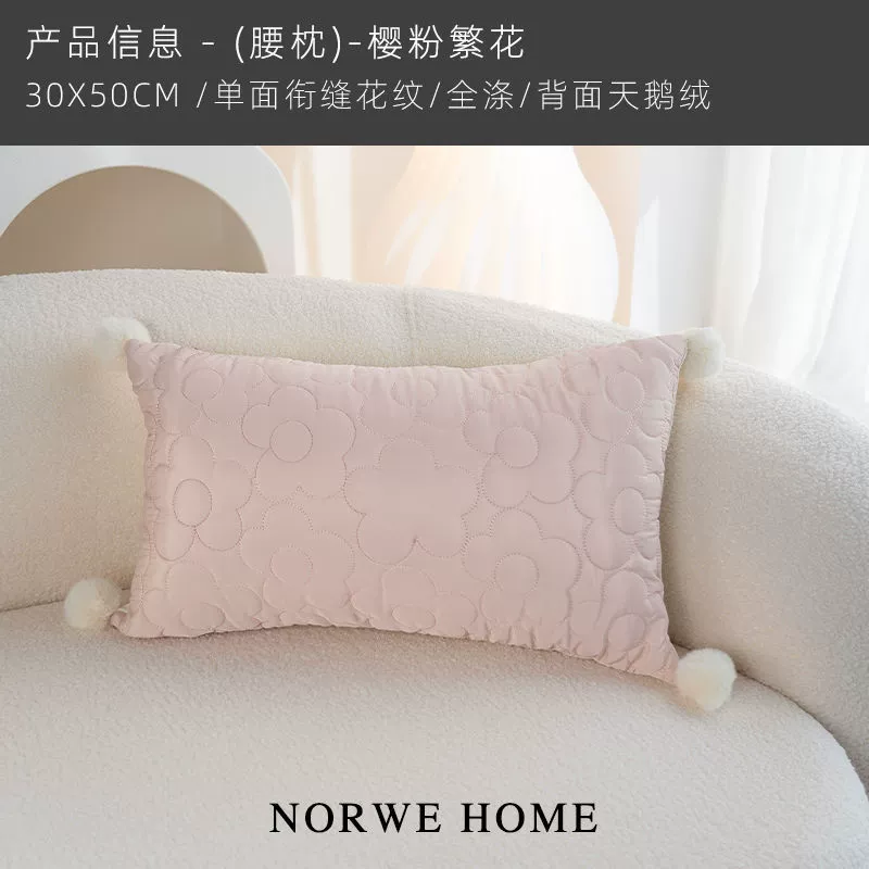Sofa, back pillow, detachable pillowcase, french style