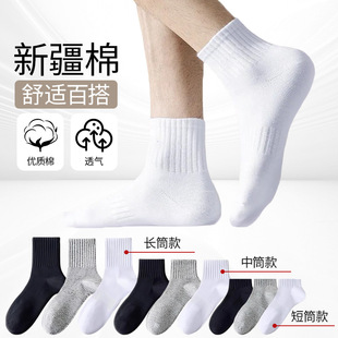 �½����m����Ů�ļ���ɫ�L�ж̿���͸����������������ߏ��\���m