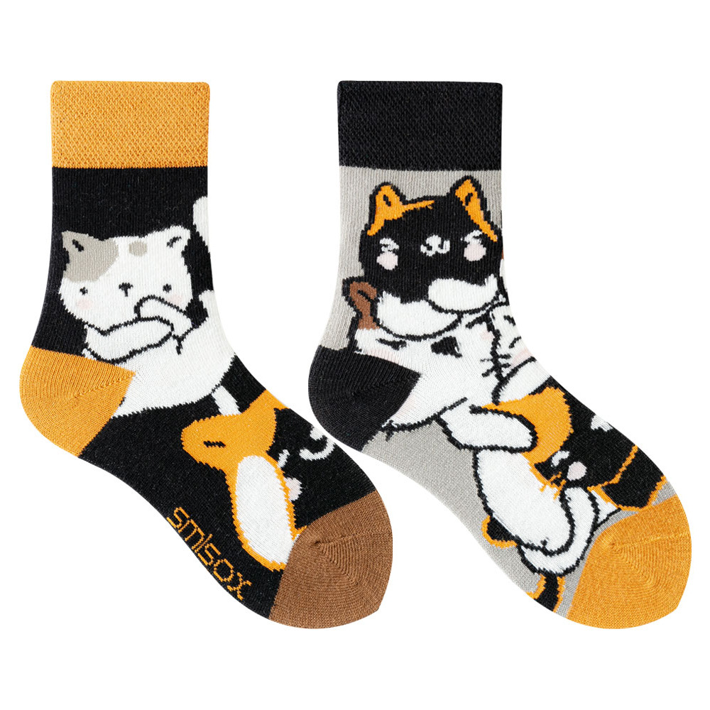 25 고양이 투안 투안