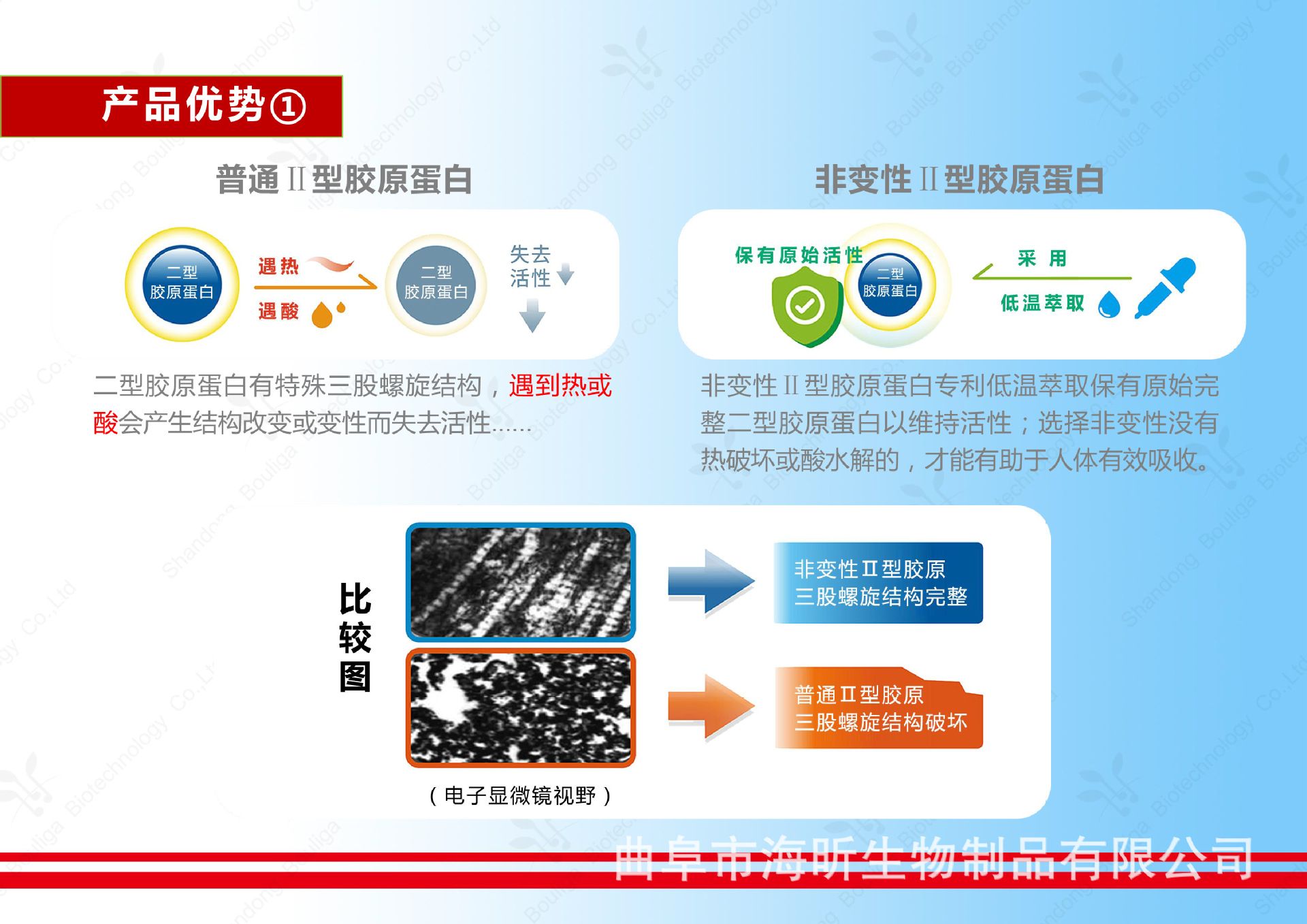 非变性--产品说明 葆力嘉-4 副本.jpg