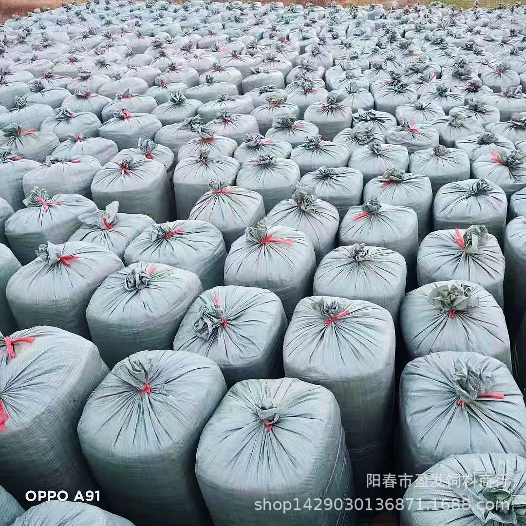 Шаньси корм корма корма корма крупного рогатого скота зеленый корм корма