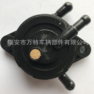 Manufacturers Supply Suitable for Garden Machinery Briggs & Stratton Generator Fuel Pump 16700-Z0J-003