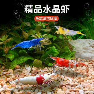 �ښ��r�����^�p��ˮ�~��С�r�坍���߼��B��ɫ�r��O��ˮ��