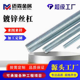 加工定制热镀锌丝杠 镀锌丝杆高强度吊杆吊筋丝杠 全扣丝牙条全牙
