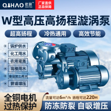 W型单级旋涡泵380V卧式高温高扬程锅炉给水泵供暖增压热水循环泵